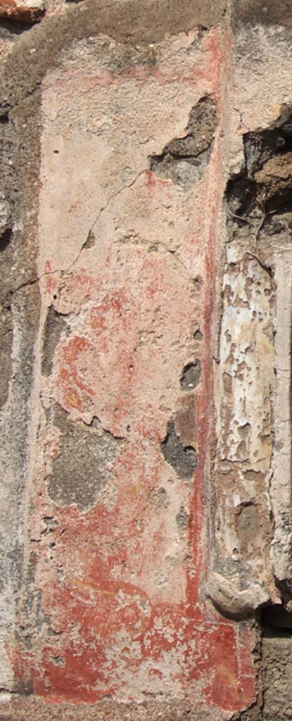 VII.15.5 Pompeii. September 2005. West side of niche.
Red panel with remains of painted yellow and black serpent coiling upwards, with the head at the top.
See Boyce G. K., 1937. Corpus of the Lararia of Pompeii. Rome: MAAR 14.  (p. 72, no.330, plate 12,3).
