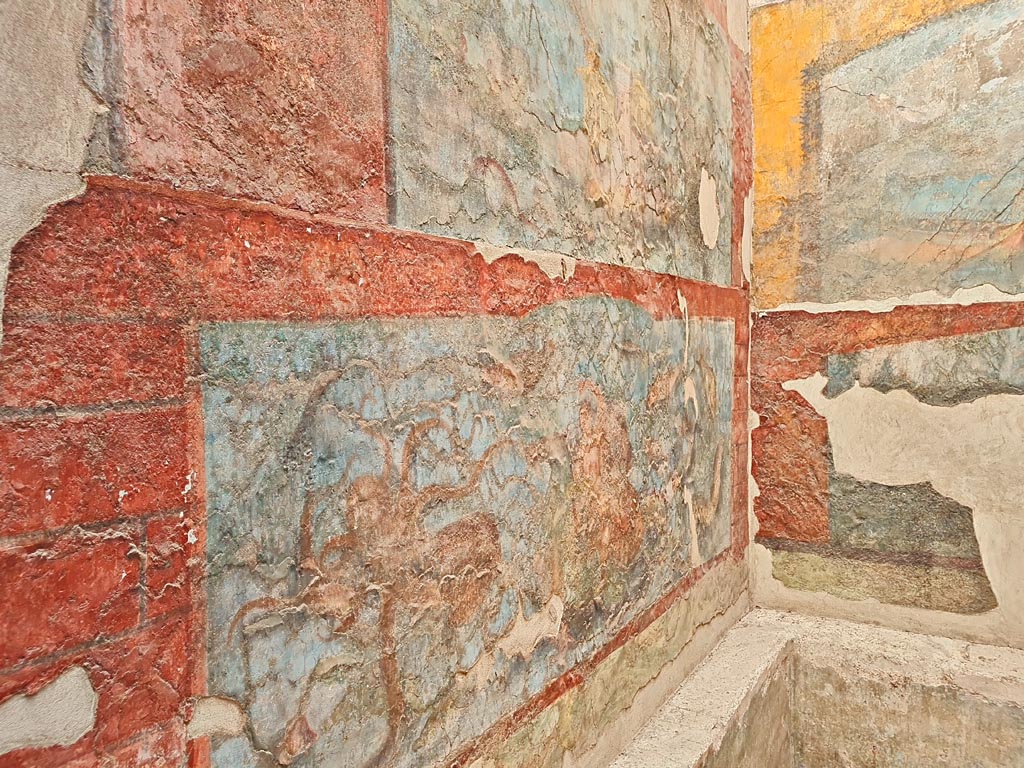 VII.16.a Pompeii. August 2021. Room 9, upper west wall.
Foto Annette Haug, ERC Grant 681269 DÉCOR.
