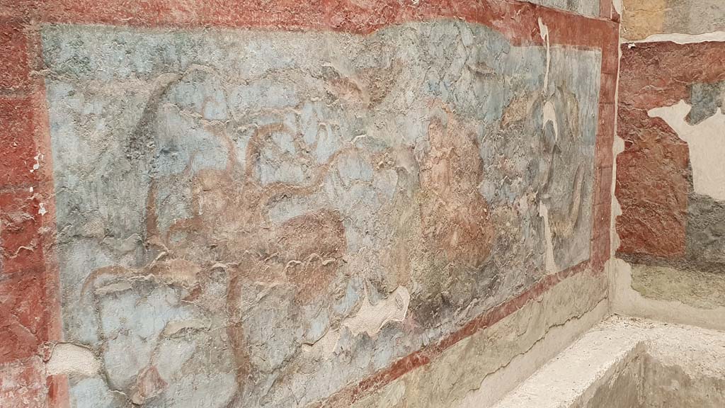 VII.16.a Pompeii. May 2015. Room 9, west wall. Octopus scene. Photo courtesy of Buzz Ferebee.
