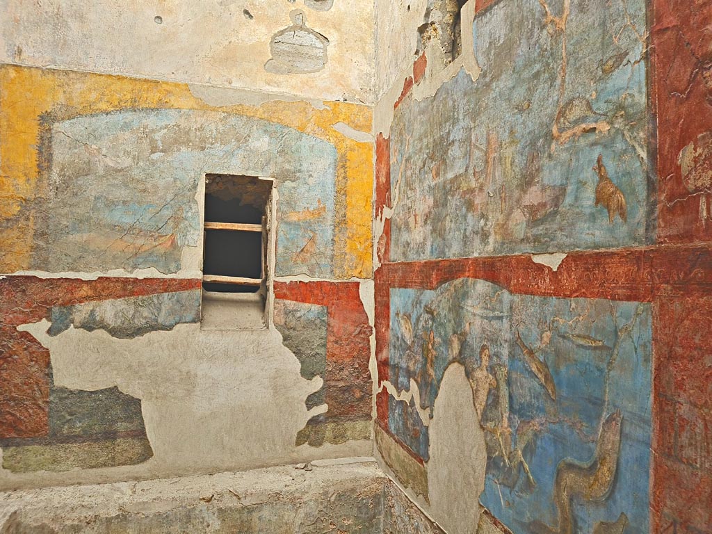 VII.16.a Pompeii. August 2021. Room 9, lower north wall.
Foto Annette Haug, ERC Grant 681269 DÉCOR.
