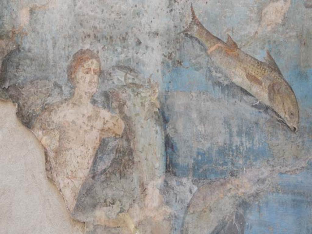 VII.16.a Pompeii. May 2015. Room 9, detail from lower east wall. Photo courtesy of Buzz Ferebee.

