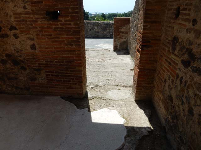 VIII.2.16 Pompeii. September 2019. Detail from flooring in tablinum.
Foto Annette Haug, ERC Grant 681269 DÉCOR.
