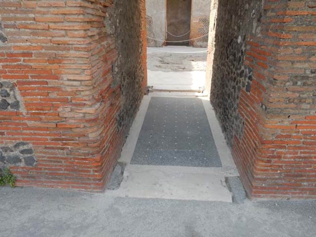 VIII.2.14/16 Pompeii. May 2017.  Flooring and threshold at south end of corridor between both houses.  Photo courtesy of Buzz Ferebee.
