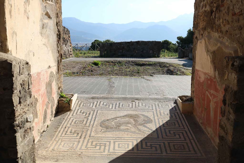 VIII.2.26 Pompeii. December 2018. Boar mosaic. Photo courtesy of Aude Durand.