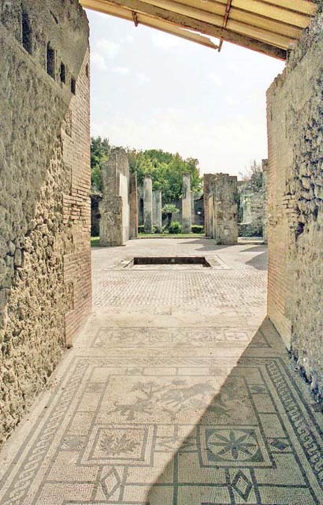 VIII.3.8 Pompeii. May 2016. Looking south from mosaic in entrance corridor towards atrium floor mosaic. Photo courtesy of Buzz Ferebee.
