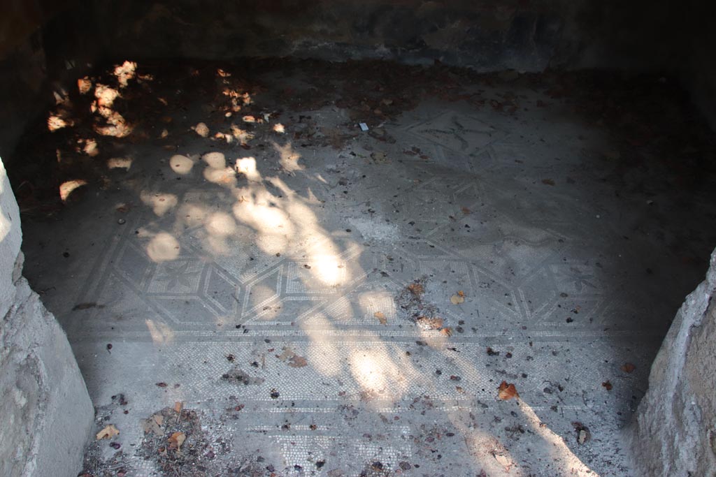 VIII.5.15 Pompeii. October 2022. Room 9, detail of flooring. Photo courtesy of Klaus Heese. 