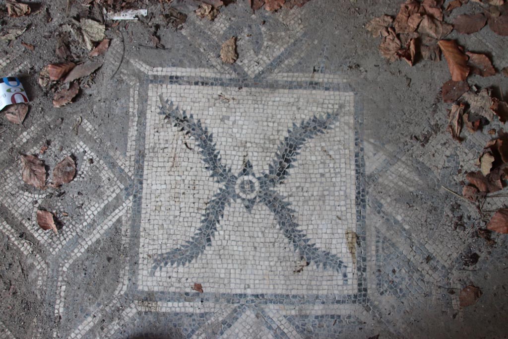VIII.5.15 Pompeii. October 2022. Room 9, detail of mosaic flooring. Photo courtesy of Klaus Heese. 