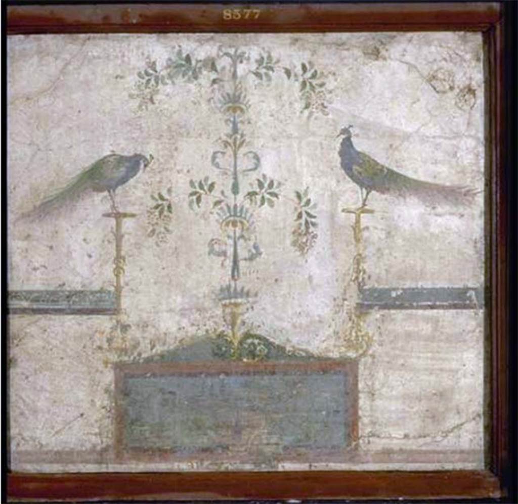 VIII.7.28 Pompeii. North part of the portico. Painting with two peacocks perched on candelabra and with a landscape. 
Now in Naples Archaeological Museum. Inventory number 8577.
