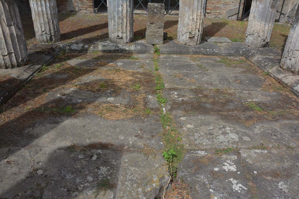 IX.1.20 Pompeii. September 2019. Room 2, detail of impluvium, looking north. 
Foto Annette Haug, ERC Grant 681269 DÉCOR

