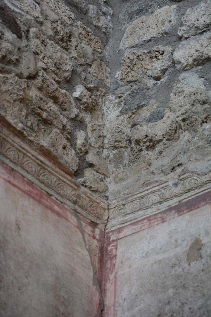 IX.5.11 Pompeii. March 2017. Room f, detail of stucco frieze from upper south-west corner. 
Foto Christian Beck, ERC Grant 681269 DCOR.

