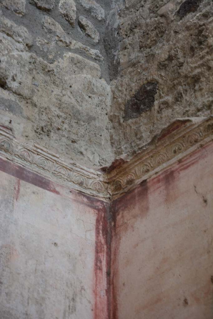IX.5.11 Pompeii. March 2017. Room f, detail of stucco cornice from north-west corner. 
Foto Christian Beck, ERC Grant 681269 DCOR.

