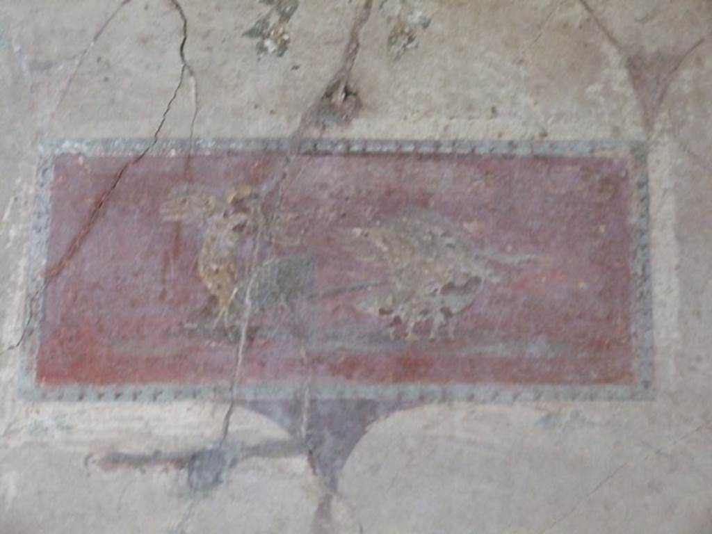 IX.9.c Pompeii. March 2009. Painted panel of cupid on a chariot being pulled by swans, from upper centre of west wall of cubiculum. 