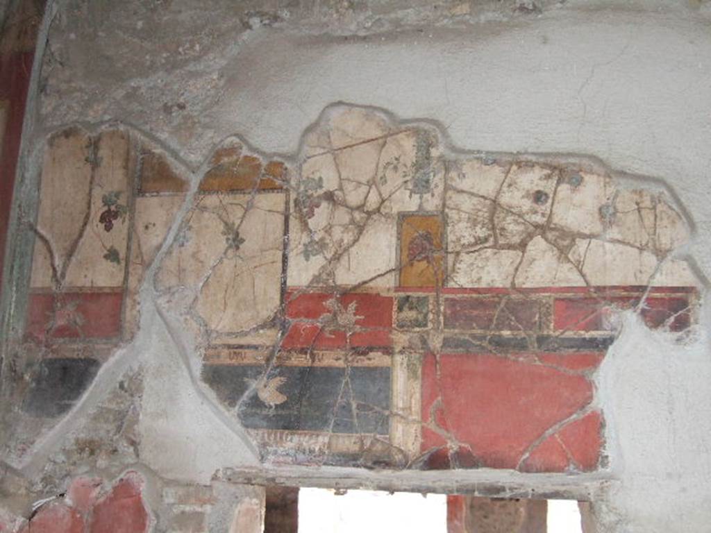 IX.9.c Pompeii. December 2005. Upper south wall of cubiculum with painted wall plaster with birds and a mask.
