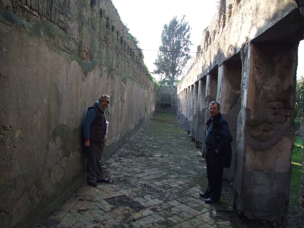 HGW24 Pompeii. December 2006. Looking west along the south portico. 