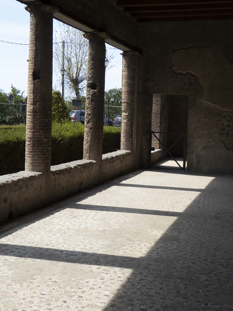 Villa of Mysteries, Pompeii. September 2017. Portico P1, looking south-west across garden area.
Foto Annette Haug, ERC Grant 681269 DÉCOR.

