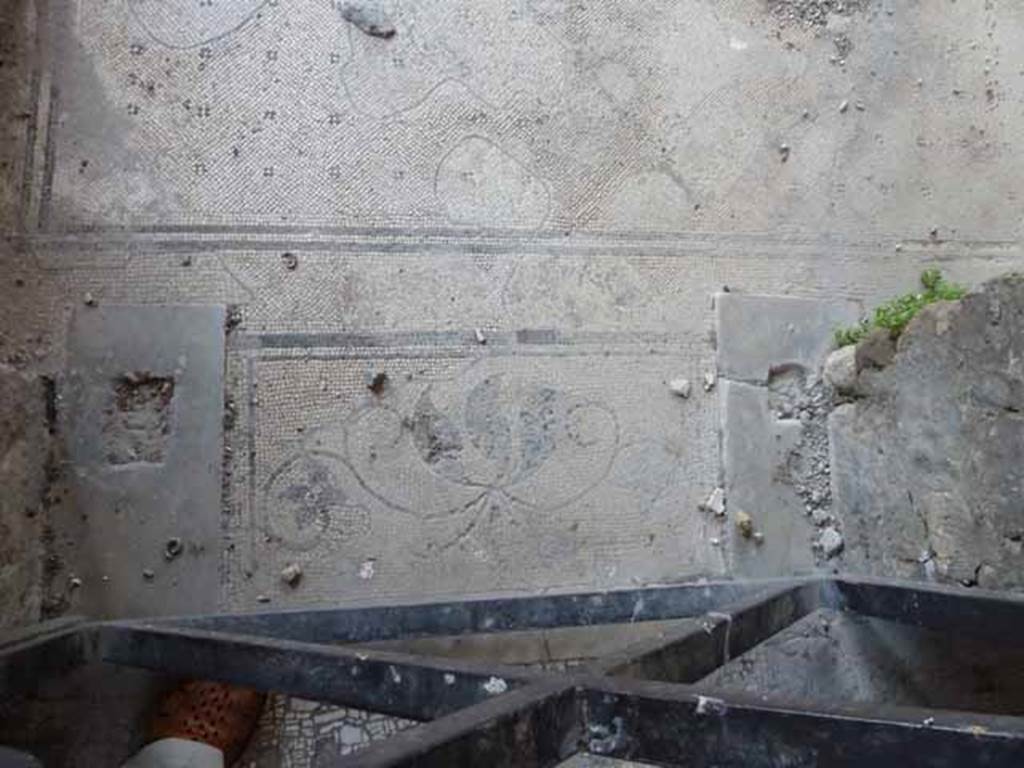 Villa of Mysteries, Pompeii. May 2010. Room 9, mosaic plant pattern between marble threshold or sill.