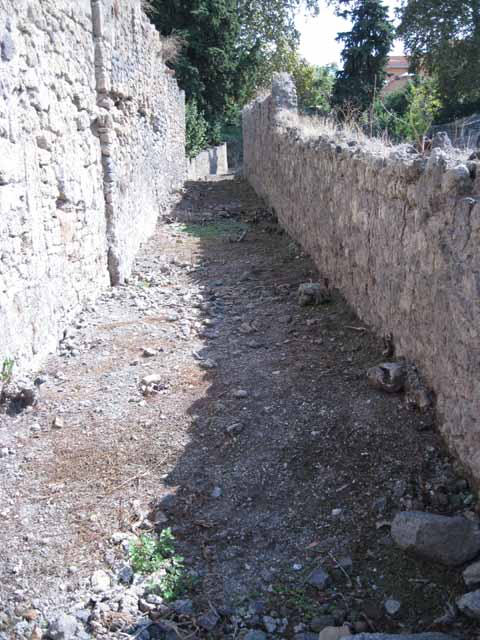 Unnamed vicolo between I.5 and I.1. September 2010. I.1 on left and I.5 right. Looking north along unnamed vicolo towards Vicolo del Conciapelle. Photo courtesy of Drew Baker.