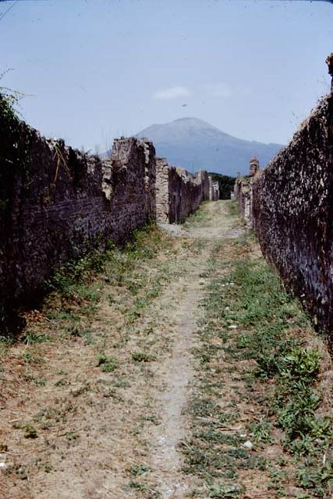 Vicolo dei Fuggiaschi. Pompeii. 1972. Looking north from between 1.21 and 1.20. 
Photo by Stanley A. Jashemski. 
Source: The Wilhelmina and Stanley A. Jashemski archive in the University of Maryland Library, Special Collections (See collection page) and made available under the Creative Commons Attribution-Non Commercial License v.4. See Licence and use details. J72f0421
