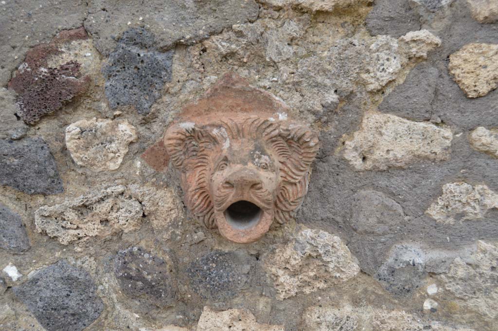 Vicolo del Centenario, Pompeii. March 2018. Looking west towards upper wall of IX.5.14-16, with detail of terracotta lion. 
Foto Taylor Lauritsen, ERC Grant 681269 DÉCOR.
