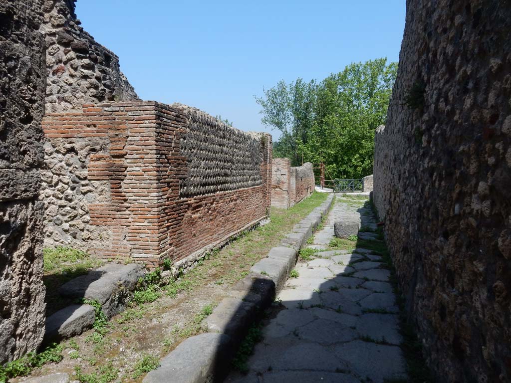 Vicolo del Gigante between VII.16 and VII.15, with VII.16.14, on left. June 2019. 
Looking north towards junction with Vicolo dei Soprastanti. Photo courtesy of Buzz Ferebee.  
