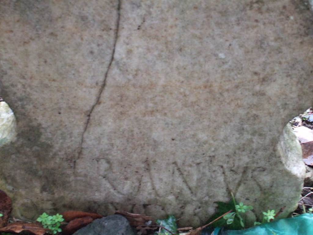 FPNF Pompeii. December 2005. Inscribed male marble columella Q. VERANIVS Q. F. RVFVS AED.