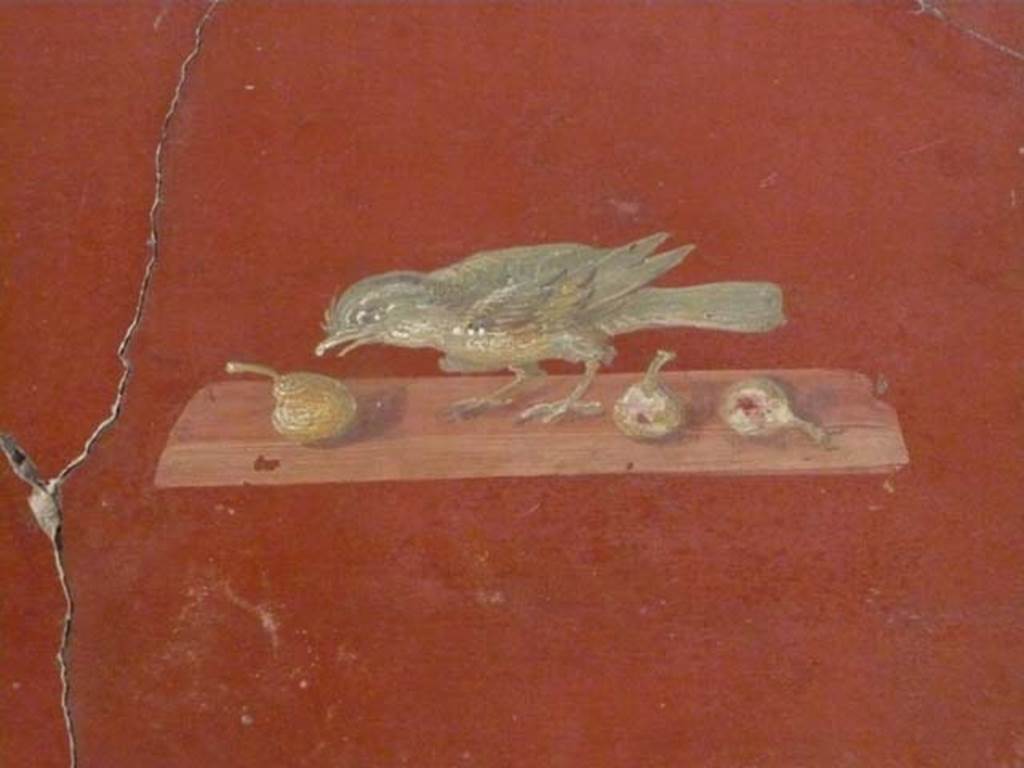 Oplontis, May 2011. Room 81, painted panel of bird and fruit. Photo courtesy of Michael Binns.