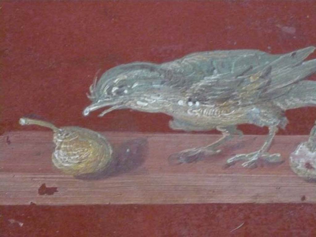 Oplontis, May 2011. Room 81, detail of painted bird and fruit. Photo courtesy of Michael Binns.