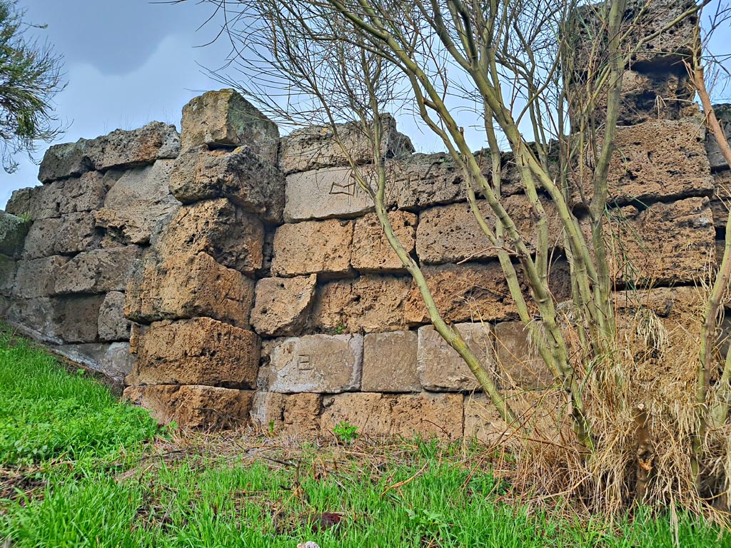 Walls on west side of Tower XI, Pompeii. November 2023. 
Looking north towards wall with Masons’ marks. Photo courtesy of Giuseppe Ciaramella.
