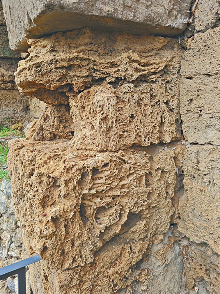 Walls on west side of Tower XI, Pompeii. November 2023. 
Detail of city wall. Photo courtesy of Giuseppe Ciaramella.


