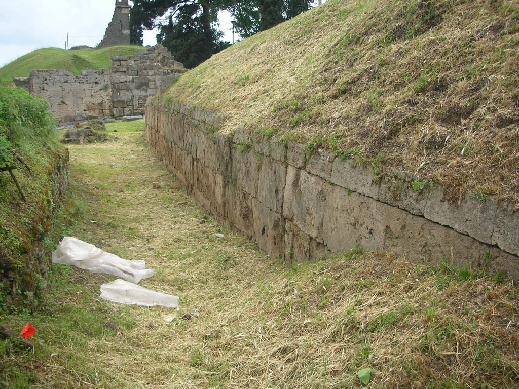 City Walls on north side of Pompeii, east side of Vesuvian Gate, May 2010. Looking west. Photo courtesy of Ivo van der Graaff.