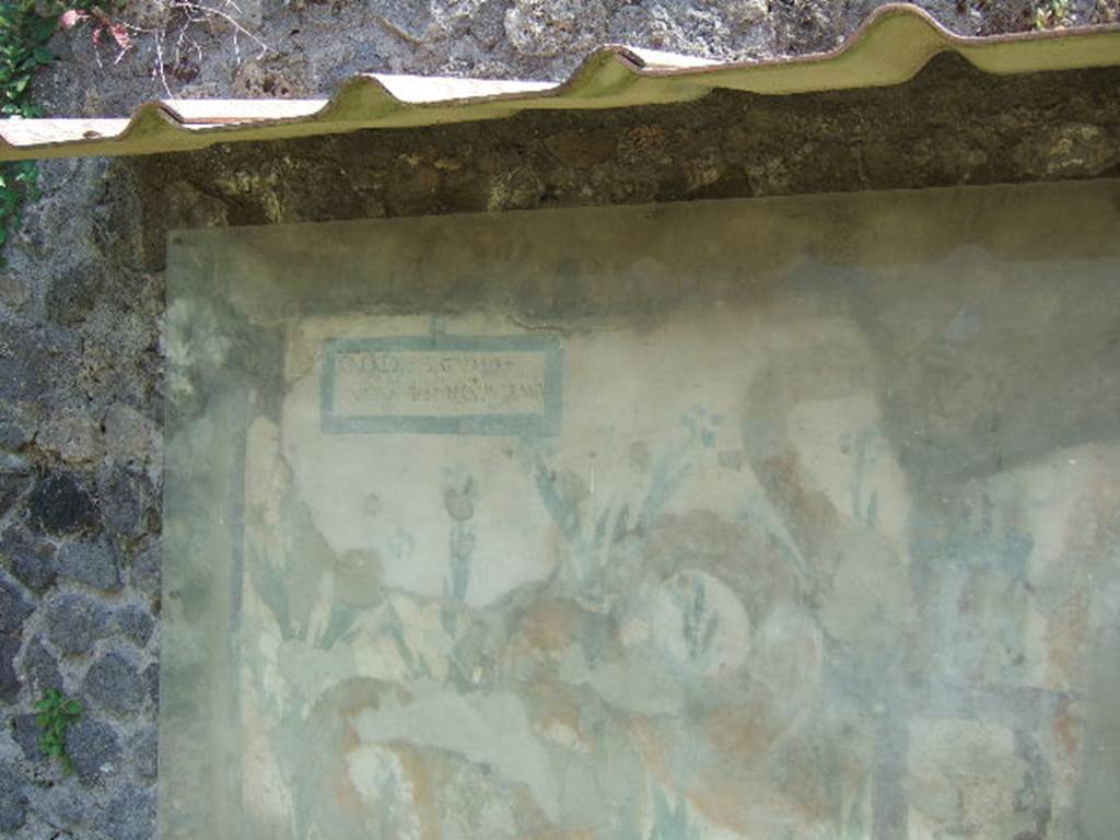V.6.19 Pompeii. October 2017. 
In the top left-hand side of the painted lararium, CIL IV 6641 can be seen, written in the painted rectangle.
Foto Taylor Lauritsen, ERC Grant 681269 DÉCOR.

According to Della Corte, the unknown proprietor of the unexcavated house or workshop, had the warning added to the street shrine.
The wording, between good wishes and irony, was:
Cacator, sic valeas, ut tu hoc (sic) locum trasia(s)  (= transeas).    [CIL IV 6641]
See Della Corte, M., 1965. Case ed Abitanti di Pompei. Napoli: Fausto Fiorentino. (p.97)

According to Epigraphik-Datenbank Clauss/Slaby (See www.manfredclauss.de), it read:
Cacator, si<c=g> valeas
Ut tu hoc locum tra(n)sea(s)    [CIL IV 6641]

See also Spano, in Notizie degli Scavi di Antichità, 1910, p.262.

