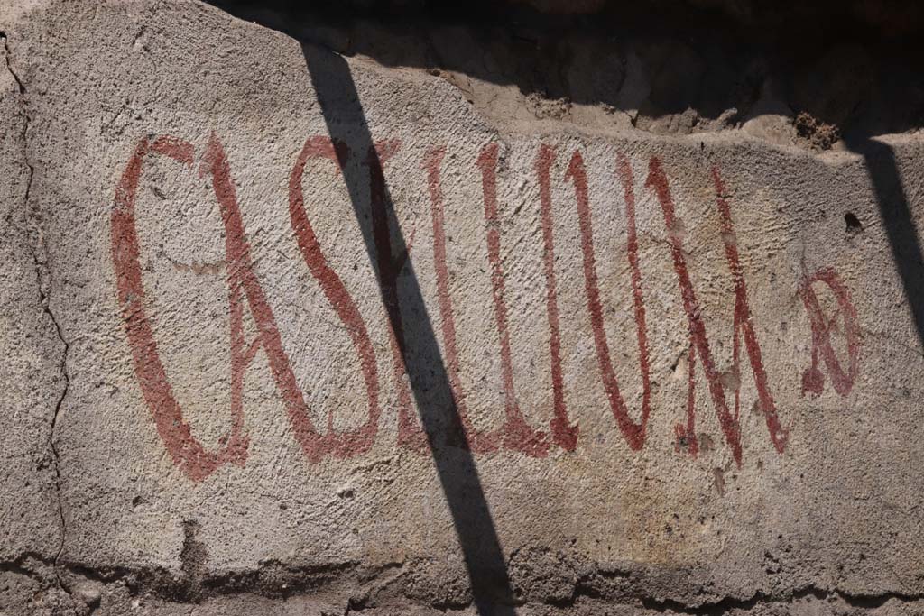 V.8, Pompeii. September 2021. CASELLIVM AED graffiti.
Looking north towards painted graffiti on west end of south wall near the street shrine, on north side of Vicolo delle Nozze d’Argento. 
Photo courtesy of Klaus Heese.

