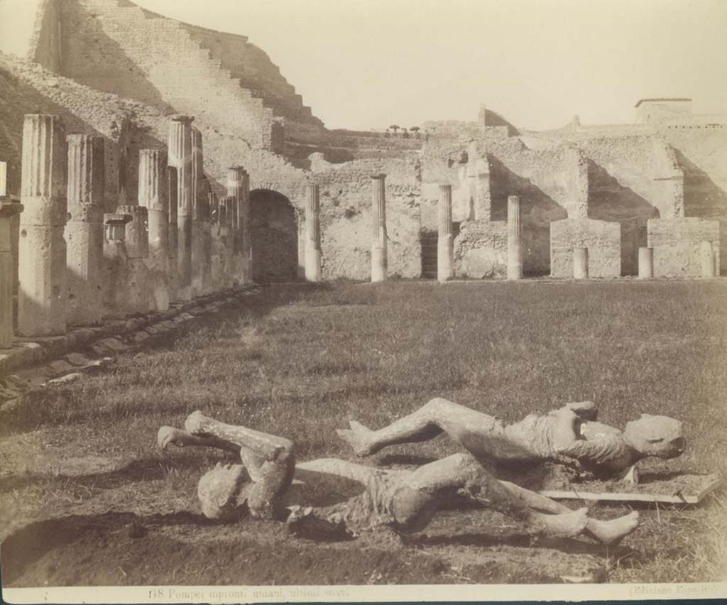 Victims numbered 14 and 15, photographed in the Gladiator’s Barracks, looking north towards the Large Theatre.
Photo by Esposito, number 118. On the left, victim numbered 15. On the right, victim numbered 14.
Photo courtesy of Eugene Dwyer.

