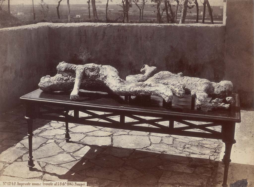 Victims numbered 2 (left) and 3 (behind right). 5th Feb 1863. G Sommer photo no. 1242. Photo courtesy of Eugene Dwyer.
In his description of these plaster-casts in his Guida di Pompei, 1877, Fiorelli described –
“Two women [nos. 2 and 3], one next to the other. The older resting on her side; the younger face down, with her face in her arm. 
(Reg.VII, Insula XIV, via quarta).”
See Fiorelli, Guida di Pompei, [Rome, 1877,] p.88-89. 
See Dwyer, E., 2010. Pompeii’s Living Statues. Ann Arbor: Univ of Michigan Press, (p.94).

According to Maiuri, these plaster-casts were badly mutilated during the 1943 bombing of the antiquarium –
“Among the rubble, there surfaced broken fragments of the cases and, lying in ruin, contorted and mutilated, like the victims of the recent catastrophe, the casts of the dead of two millennia ago, the victims that the lapilli and cenere of the eruption of 79 had reverently contained and that a more inhuman violence had mutilated and dishonoured in violating their sacred peace of the dead.”
According to Dwyer, - 
“Most of the contents of the museum were beyond repair. Fiorelli’s original casts of 1863 were destroyed. Aside from conserving those of the earlier casts that could be salvaged, Maiuri added to the museum only one of the casts made during his long superintendency: the cast of a muleteer.”
See Dwyer, E., 2010. Pompeii’s Living Statues. Ann Arbor: University of Michigan Press. (p.121).
