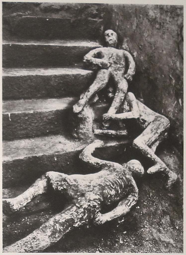 VII.16.17-22 Pompeii. 1961. Casts of three victims at the base of the stairs as shown on Boscoreale Antiquarium information board.
Photo courtesy of Michael Binns.