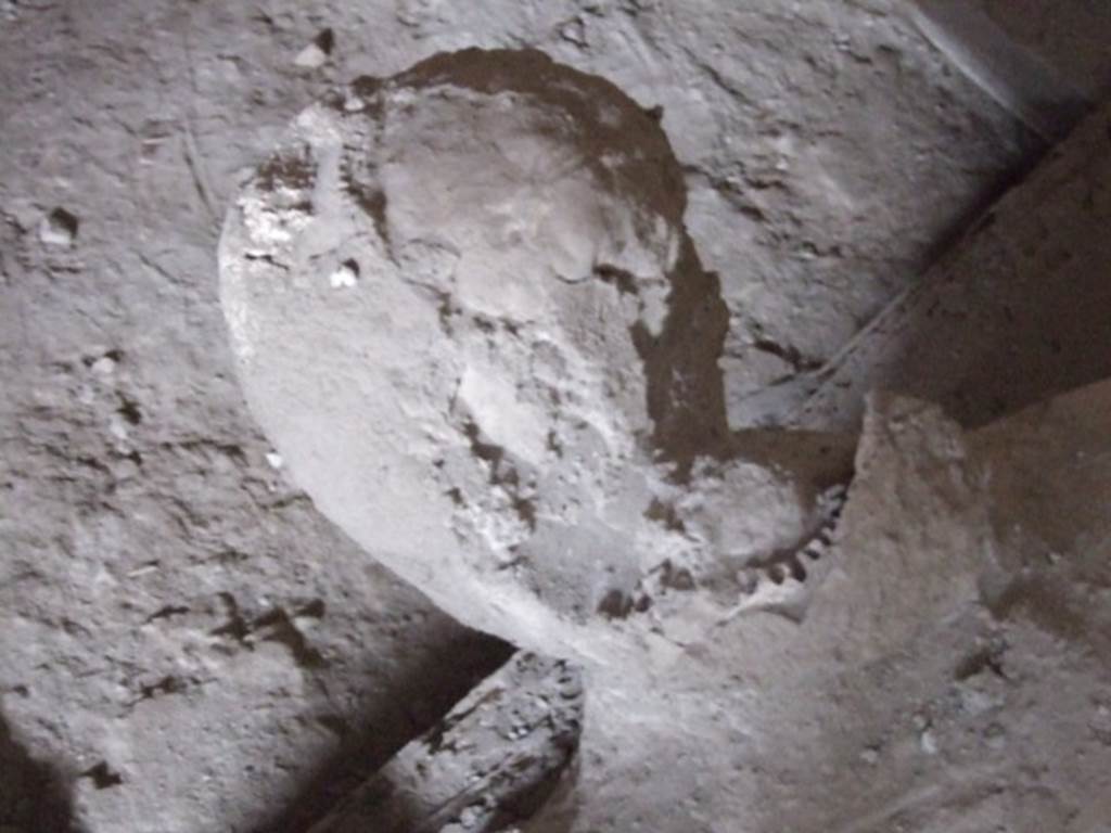 I.8.17 Pompeii. December 2007. Room 10, plaster cast of head of victim.