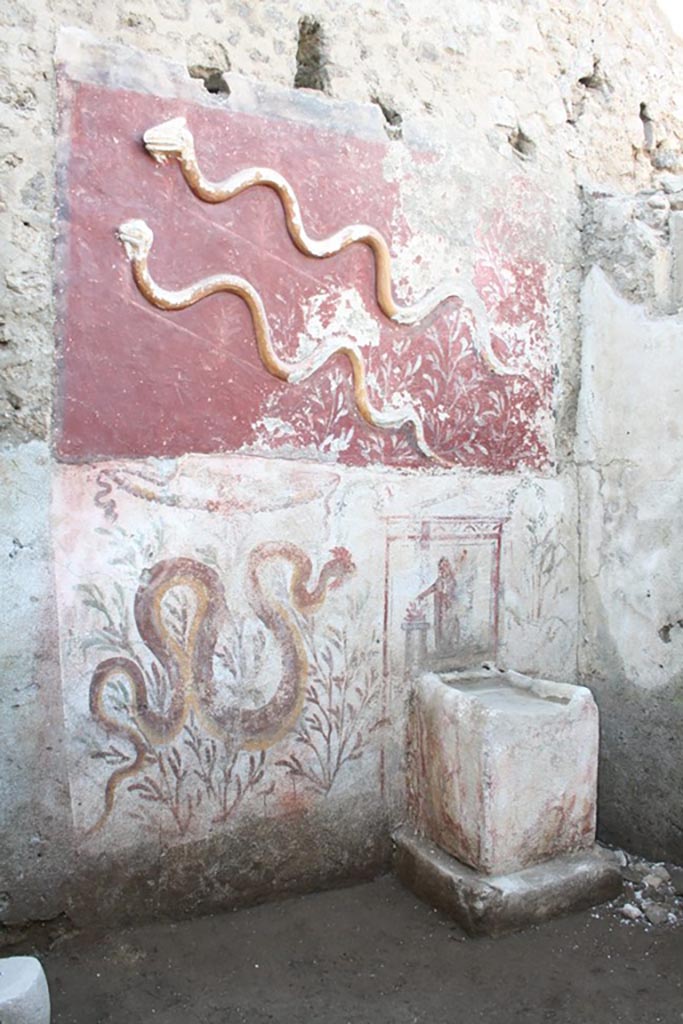 IX.10.1 Pompeii. Lararium and altar recently found in room 12.
The lower register consists of a white background into which the masonry pulvinus altar decorated in fresco with brown faux-marble highlights is inserted. On the left side there is a fresco of a crested and bearded serpent heading towards the altar, which is surmounted by a painted rectangular aedicule terminating in vegetal whorls, and which frames the Genius patrisfamilias with cornucopia and patera making libations at a circular altar. 
The partial deterioration of the painted plaster base on which the scenes of the last phase are laid reveals, in a position off-centre from the previous one, a similar scene belonging to an older decorative phase.
Il registro inferiore è costituito da una specchiatura a fondo bianco (1,55 x 2,20 m) in cui si inserisce l’altare a pulvino in muratura (0,75 x 0,50 m) decorato ad affresco con lumeggiature brune a finto marmo. Sulla sinistra è affrescato un serpente crestato e barbato che si dirige verso l’altare (Fig. 12), sormontato da un’edicola rettangolare dipinta e terminante in girali vegetali, che inquadra il Genius patrisfamilias con cornucopia e patera che compie libagioni presso un altare circolare (Fig. 13). La parziale consunzione della base pittorica a grassello di calce su cui sono stese le scene di ultima fase lascia intravedere, in posizione decentrata rispetto alla precedente, una scena simile appartenente ad una fase decorativa più antica.
See PAP e-journal 6, 28.09.2023, p. 64, fig. 11. Download: PAP e-journals 2023 collection volumes 01-09 
Photograph © Parco Archeologico di Pompei.

