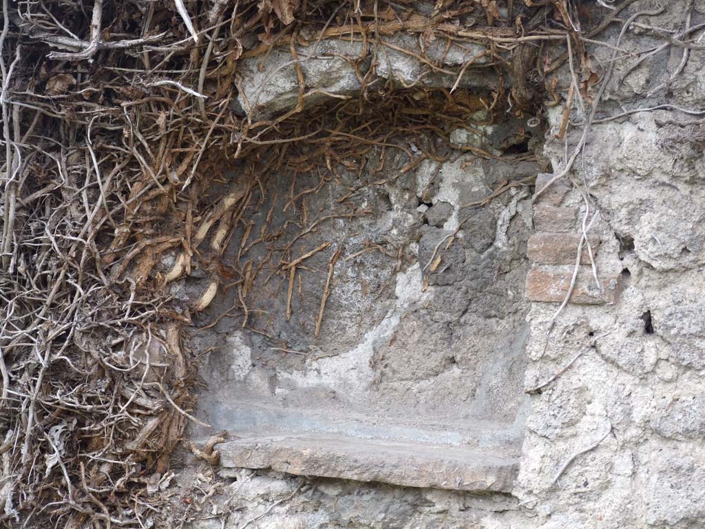 VII.3.8 Pompeii. December 2007. Niche in west wall of shop. According to Boyce, this was an arched niche.
See Boyce G. K., 1937. Corpus of the Lararia of Pompeii. Rome: MAAR 14. (p. 63, no: 260A) 
