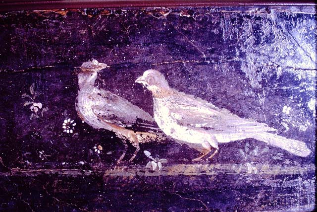 PA.4. Pompeii. From an album by Roberto Rive, dated 1868. Photo courtesy of Rick Bauer. Where from?
There is a similar painting on the east wall of a cubiculum in IX.9.c but it looks like the arms are in different positions. Do you have a close up of this wall?

