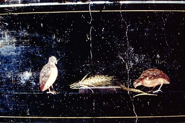 PA.7. Pompeii. Photograph by G. Sommer. Painted wall decoration. Photo courtesy of Rick Bauer.  Where from ?