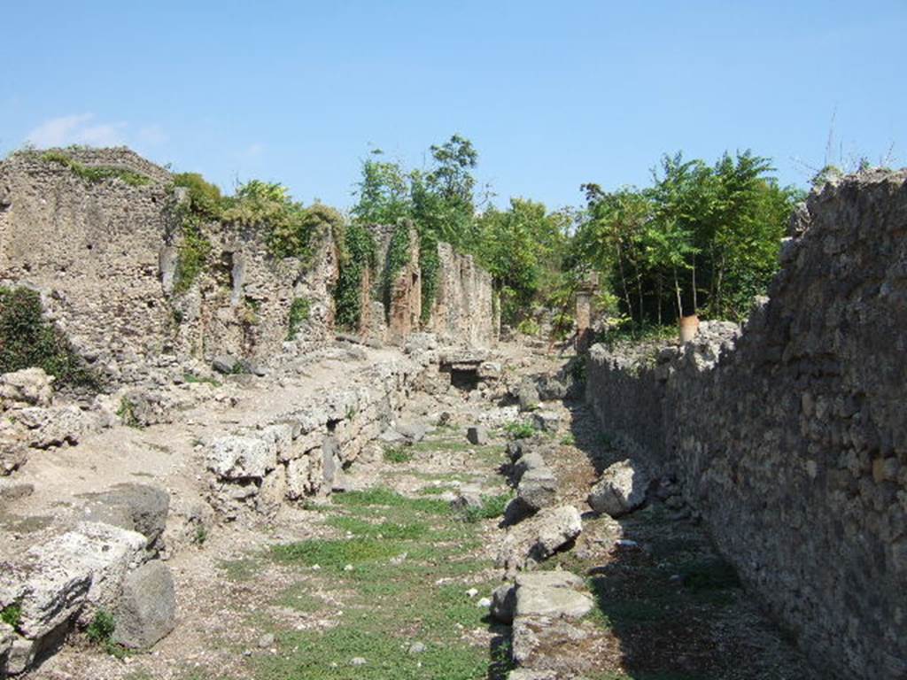 I.2, on left, Pompeii. September 2005.  Vicolo del Conciapelle looking east.  North side of I.1.9, on right.