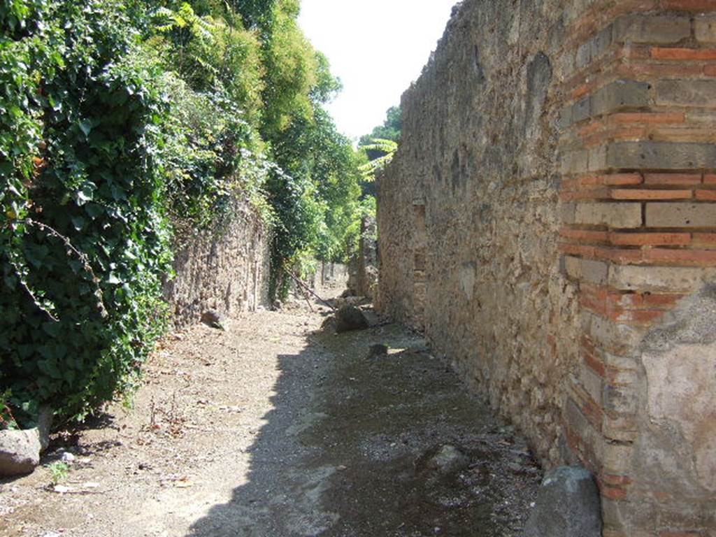 Pompeii. I.19. September 2005. Vicolo del Citarista looking south. Sidewall of I.2.18/I.2.19