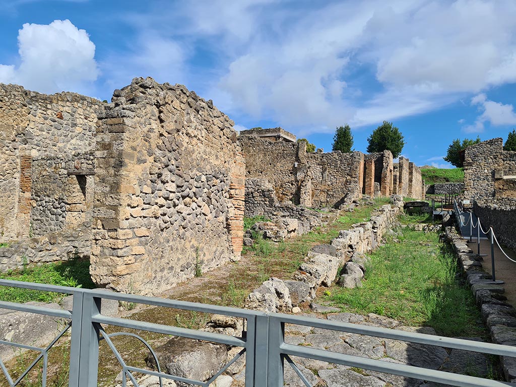 I.2.32 Pompeii, on left. October 2024. 
Looking north-east on Vicolo del Conciapelle, towards entrances I.2.31 and I.2.30 at rear of standing wall, centre left. 
Photo courtesy of Klaus Heese.
