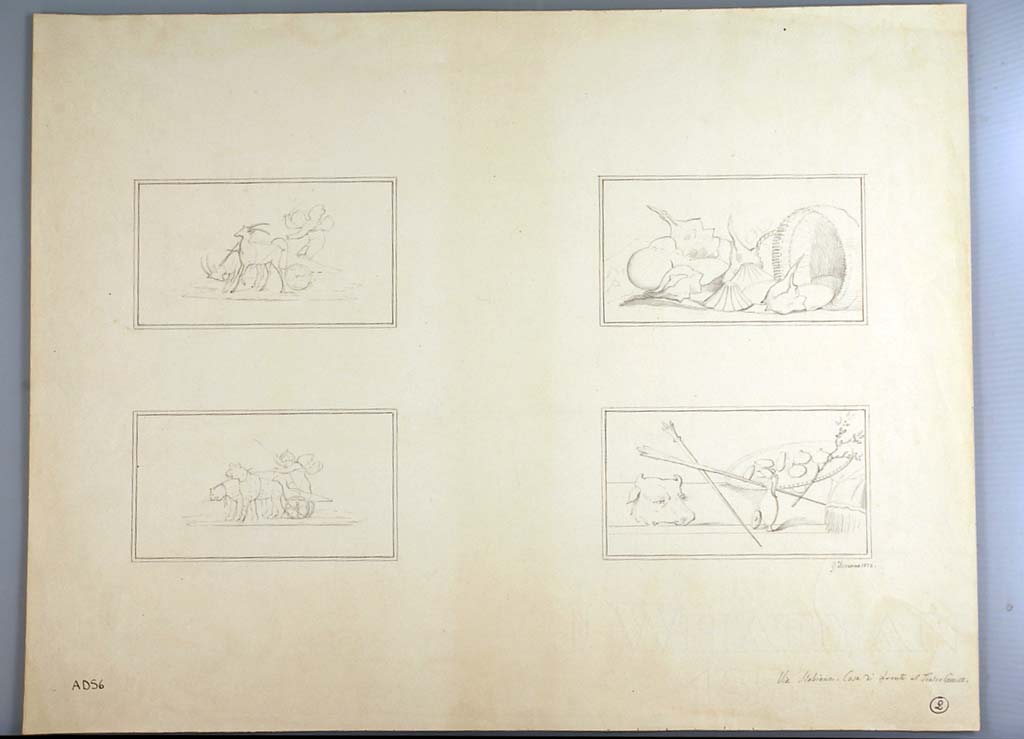 I.3.3 Pompeii. Drawings by Geremia Discanno, 1872, of four panels, two from triclinium, two from tablinum. 
On the right, the two panels are from the triclinium.
The top panel from the east wall showing a still-life of a fallen basket with shell-fish, the lower from the south wall showing a still-life of Dionisiac offerings.
On the left, the two panels are from the tablinum showing cupids in chariots, being pulled by gazelles and panthers.
The top panel is from the east wall, the lower from either the north or south wall.
Now in Naples Archaeological Museum. Inventory number ADS 6.
Photo © ICCD. http://www.catalogo.beniculturali.it
Utilizzabili alle condizioni della licenza Attribuzione - Non commerciale - Condividi allo stesso modo 2.5 Italia (CC BY-NC-SA 2.5 IT)
