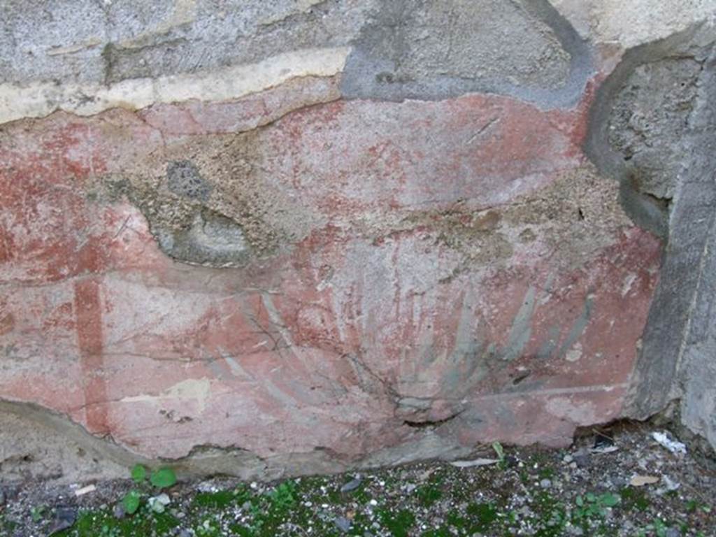 I.4.25 Pompeii. December 2007. 
Room 50, detail of painted red zoccolo with outline of painted plant on west wall. 

