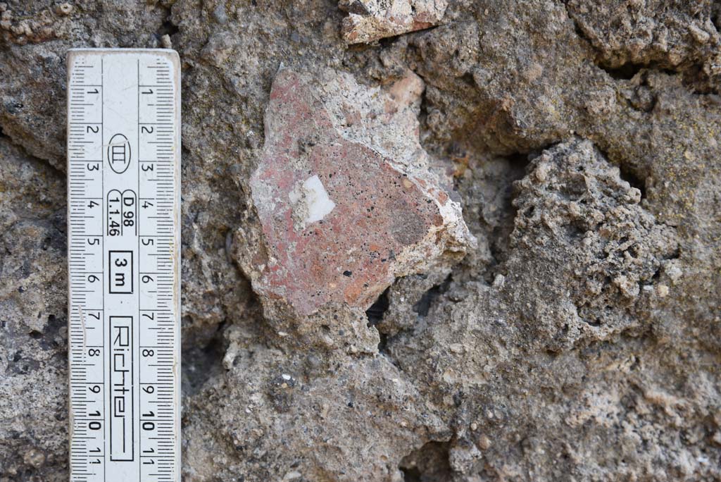 I.4.25 Pompeii. September 2020.  Room 35, detail of zoccolo/dado on south wall in south-east corner.
Foto Tobias Busen, ERC Grant 681269 DÉCOR.
