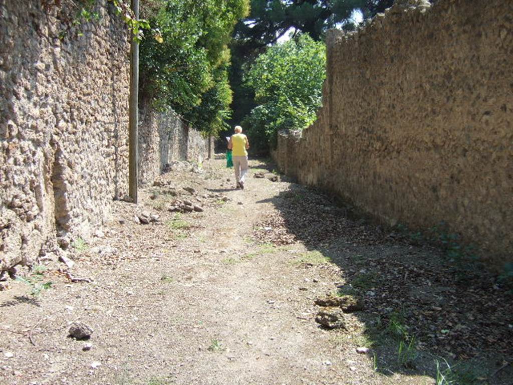 I.25 Pompeii,unexcavated. September 2005. Vicolo looking south. I.5.3 and side wall of I.5.2