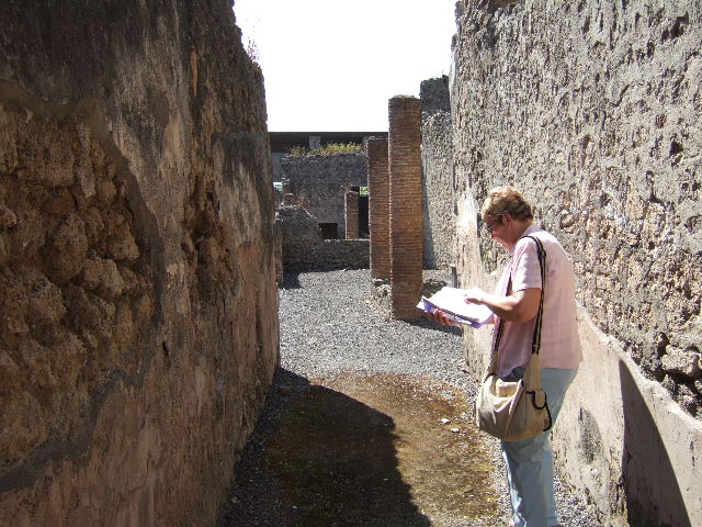 I.6.2 Pompeii.  May 2006.  Looking south from entrance fauces.   