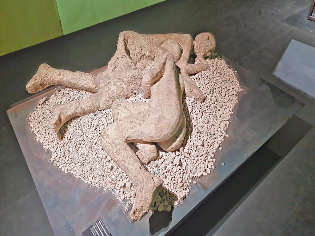 I.6.2 Pompeii. September 2015.  Plaster cast of two victims found in the lapilli above the garden area level. 