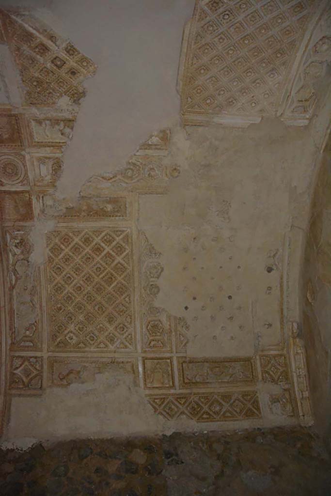 I.6.2 Pompeii. May 2016. Detail of stucco on ceiling in cryptoporticus. Photo courtesy of Buzz Ferebee.
